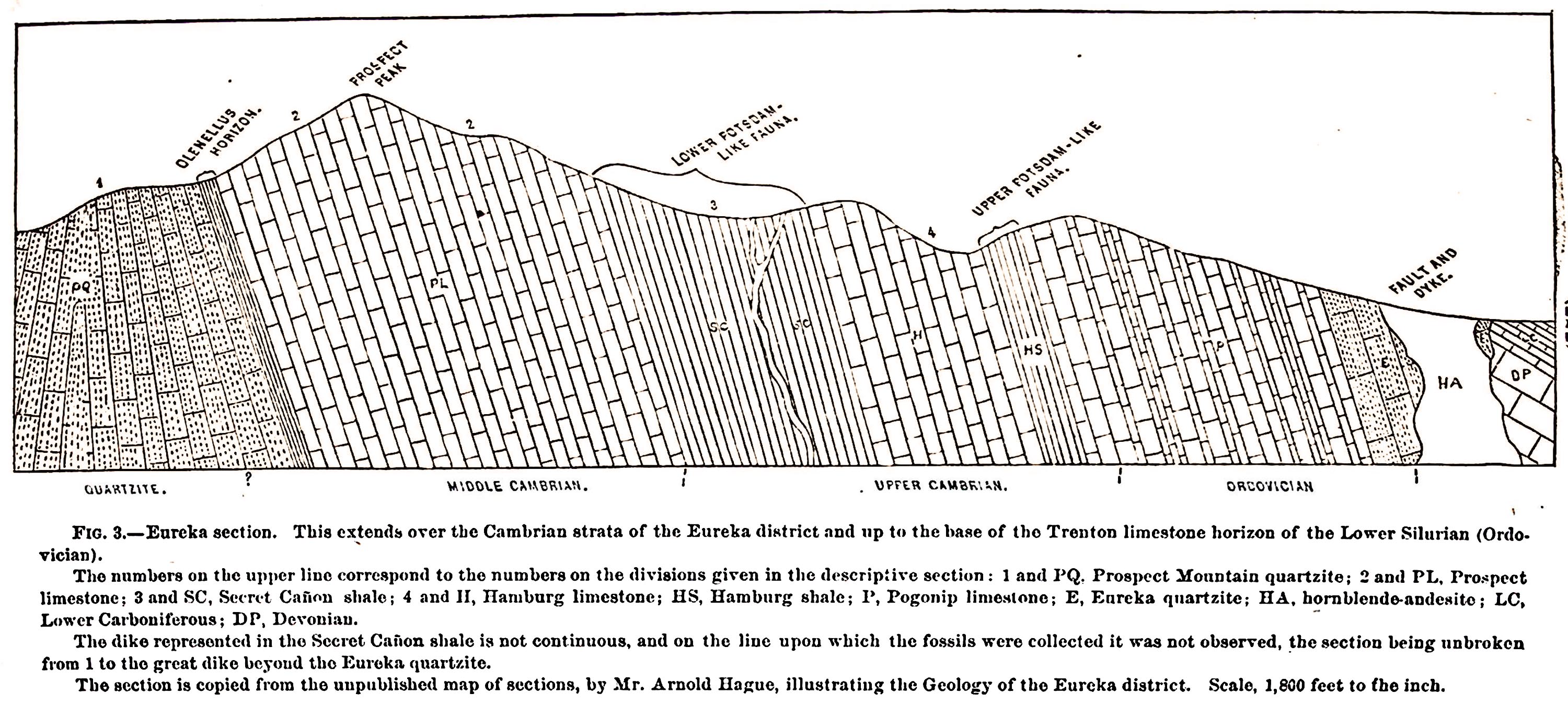 Section p.031