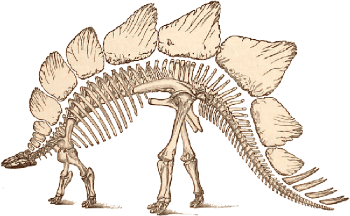 Jurassic Stegosaurus